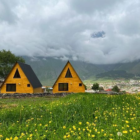 Pine Chalet Kazbegi エクステリア 写真