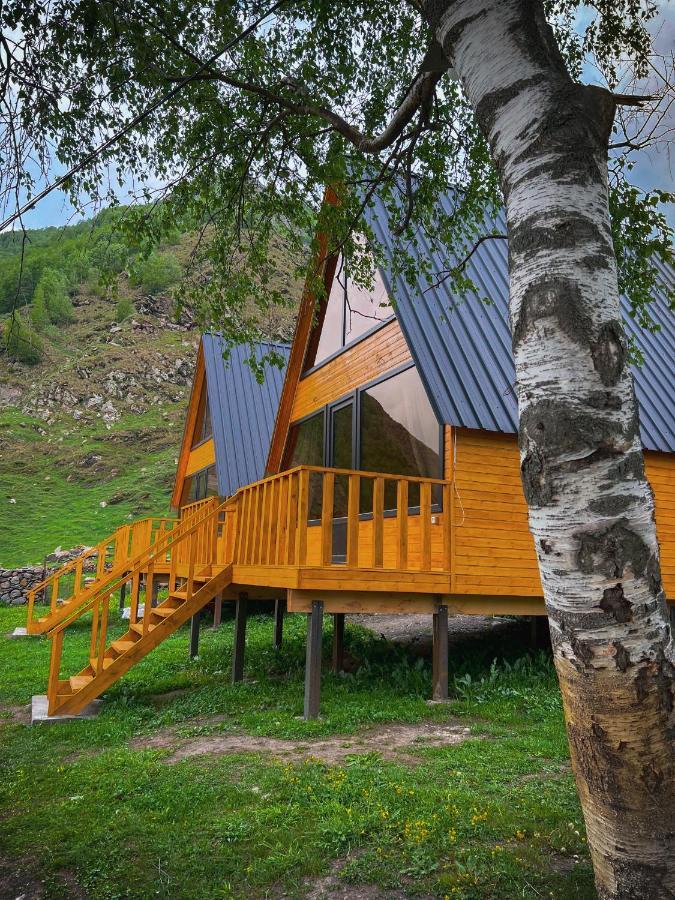 Pine Chalet Kazbegi エクステリア 写真