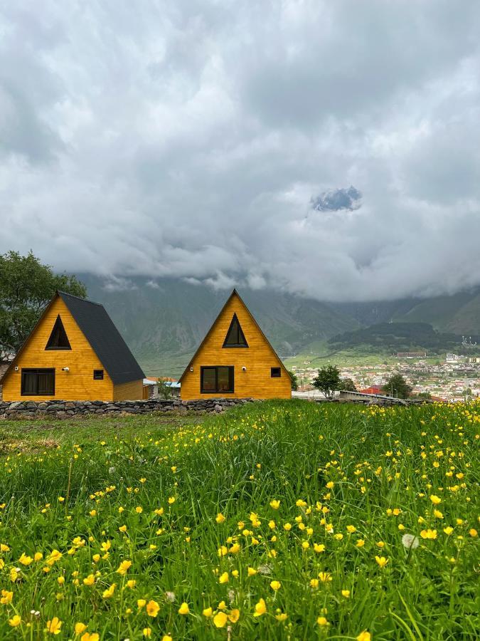 Pine Chalet Kazbegi エクステリア 写真