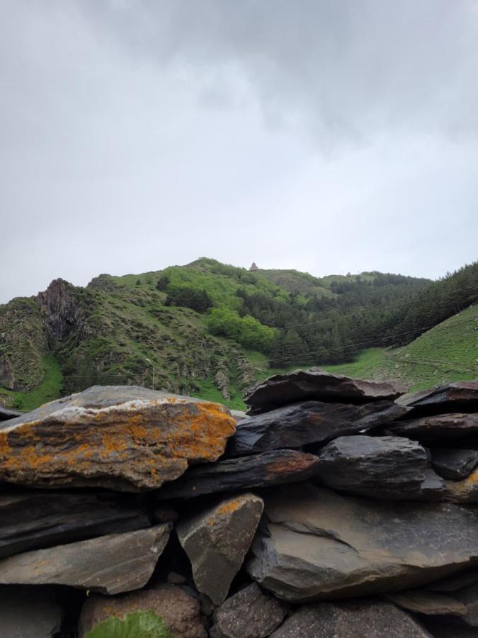 Pine Chalet Kazbegi エクステリア 写真