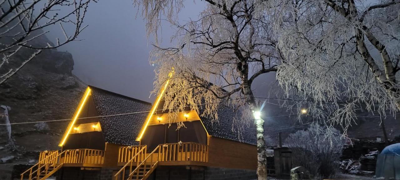 Pine Chalet Kazbegi エクステリア 写真