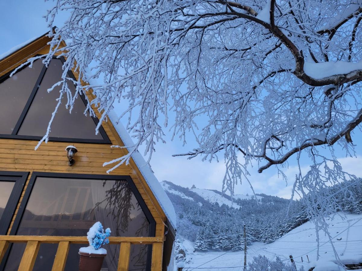 Pine Chalet Kazbegi エクステリア 写真