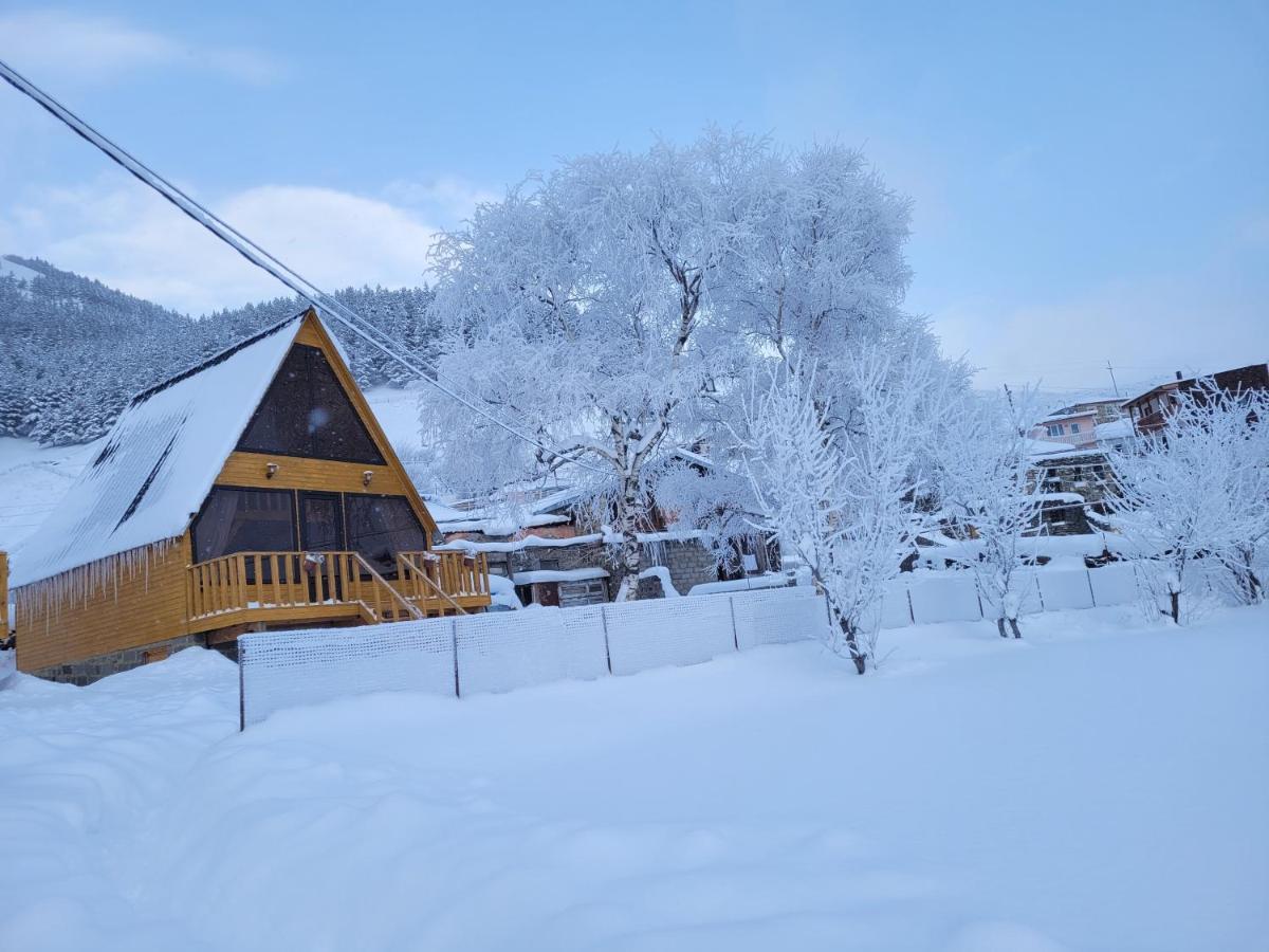 Pine Chalet Kazbegi エクステリア 写真