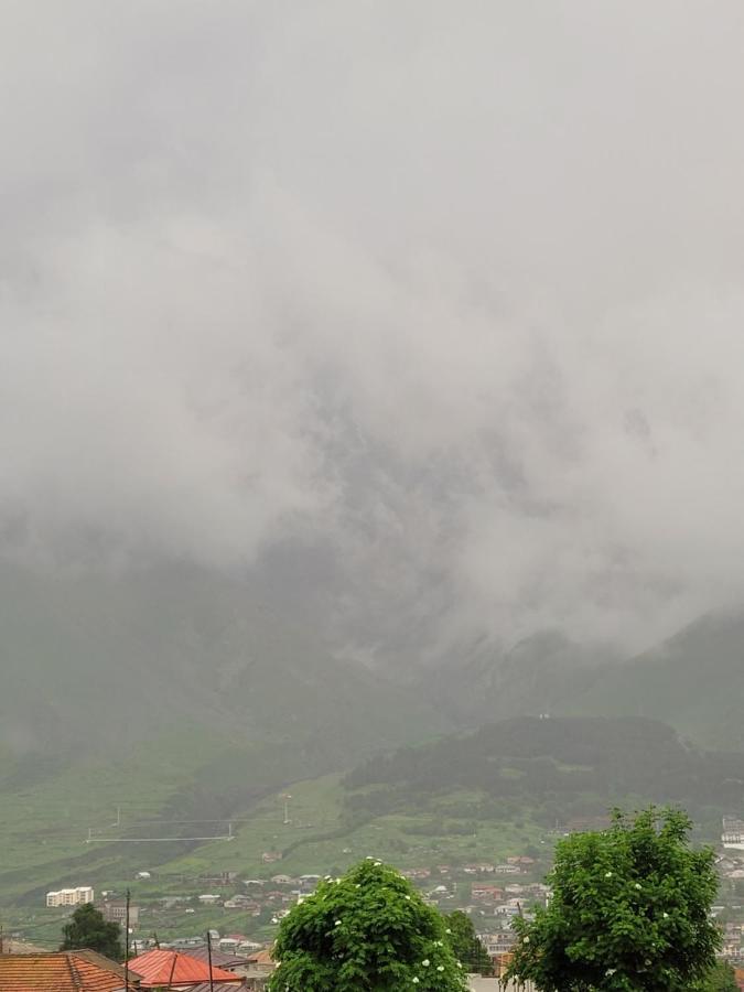Pine Chalet Kazbegi エクステリア 写真