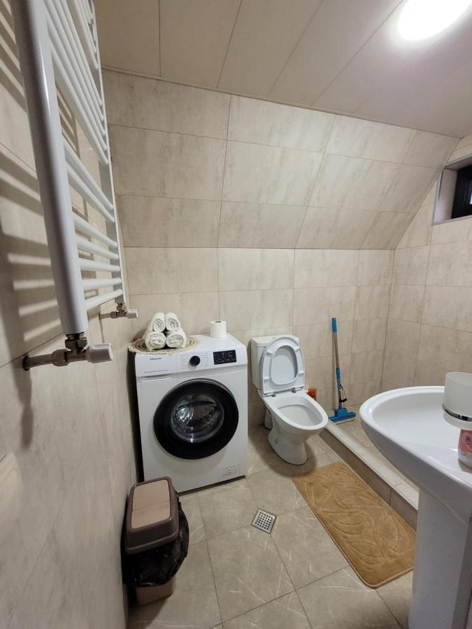 Pine Chalet Kazbegi エクステリア 写真
