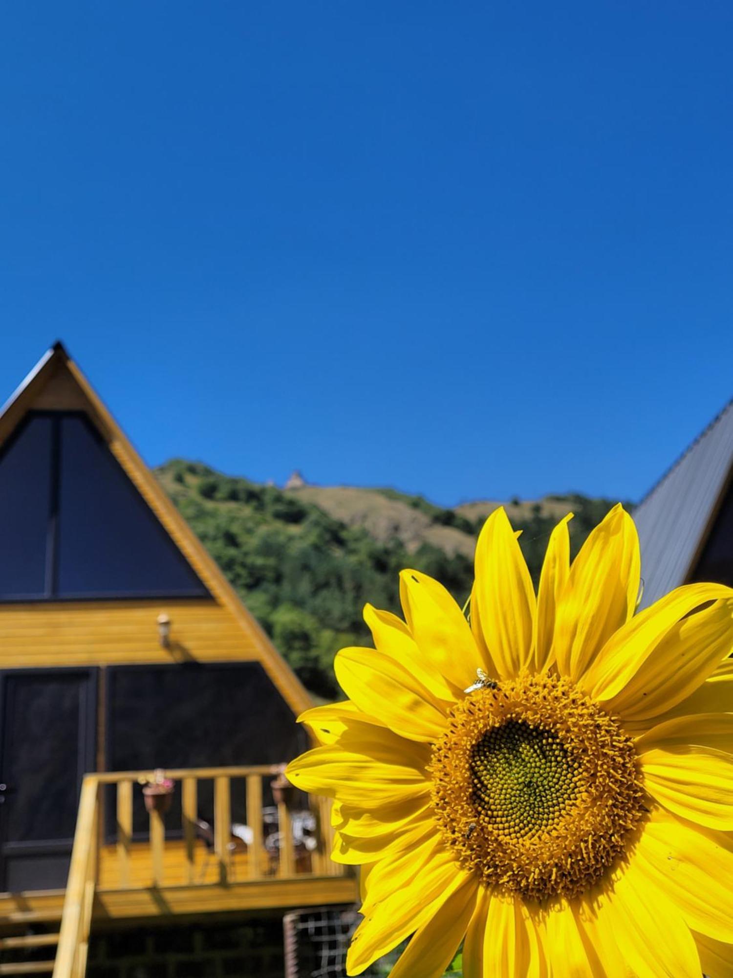 Pine Chalet Kazbegi エクステリア 写真